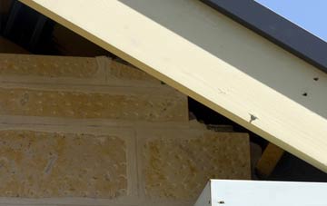 soffit repair Port William