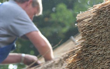 professional Port William thatchers